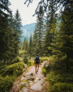 Man walking in the forest.